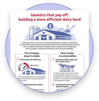 infographic Cox Wensink (1)